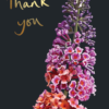 Thank you - Sarah Kelleher gift Card IB17