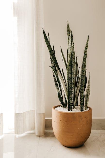 The Benefits of Having Indoor Plants in Your Workspace