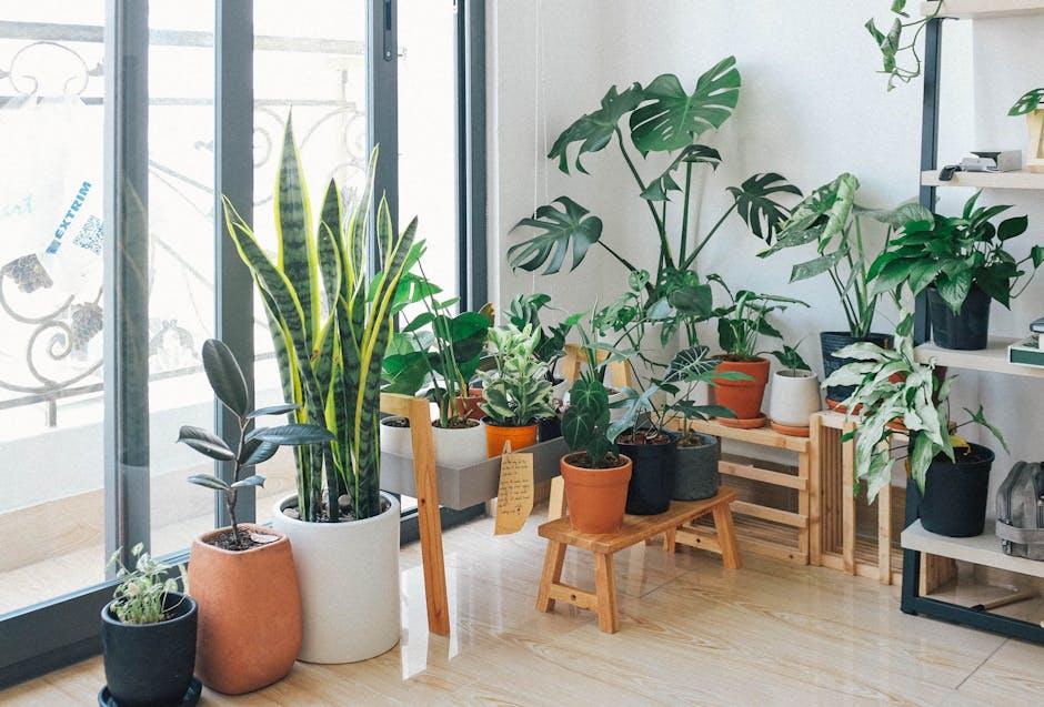 The Best Indoor Plants for Small Spaces