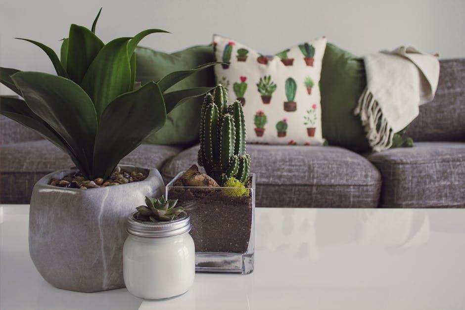 The Benefits of Adding Indoor Plants to Your Space