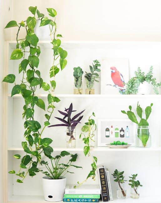 Why Indoor Plants are Essential for Your Well-being