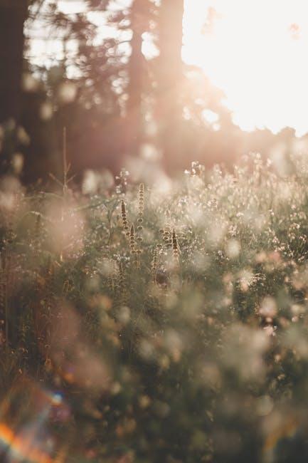Choosing the Perfect Wildflowers for Your Theme