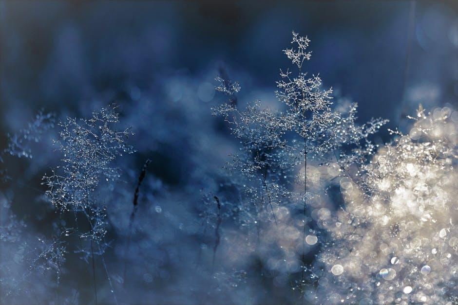 Winter Wonderland: Dreamy White and Silver Floral Palette