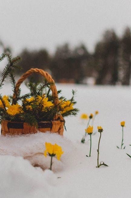 Winter Blooms ​That Brighten Up Your Day