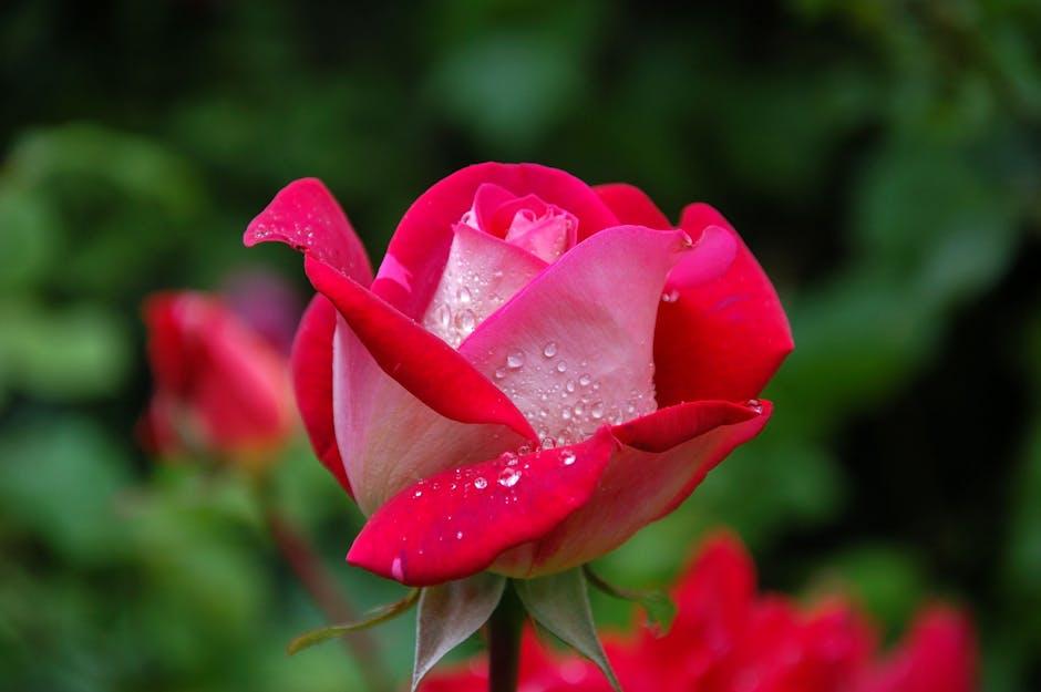 Flowers for Hotels: Seasonal Décor Ideas