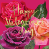 Happy Valentine’s Day Roses Card by Sarah Kelleher