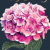 Happy Birthday Hydrangea Card by Sarah Kelleher