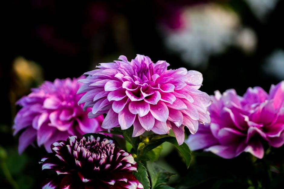 - Importance of Fresh Flowers in Hotel Décor