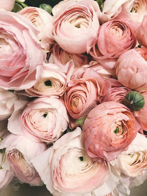 The Most Popular Flowers for Mother’s Day and Their Hidden Messages