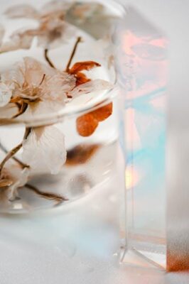 The Meaning Behind Popular Spring Flowers and Their Symbolism
