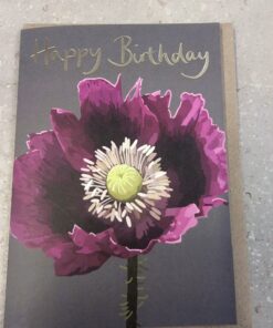 Happy Birthday Greeting Card by Sarah Kelleher