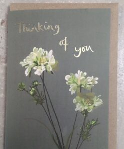 Thinking of you Card